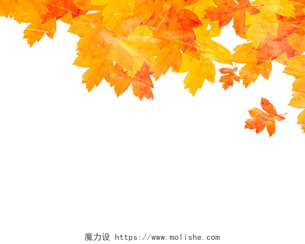 黄色秋天边框树叶叶子树枝枫叶PNG素材